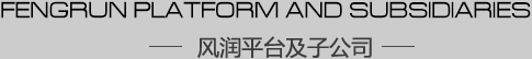优发国际平台及子公司